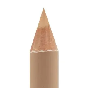 ABSOLUTE New York All Purpose Pencil Concealer