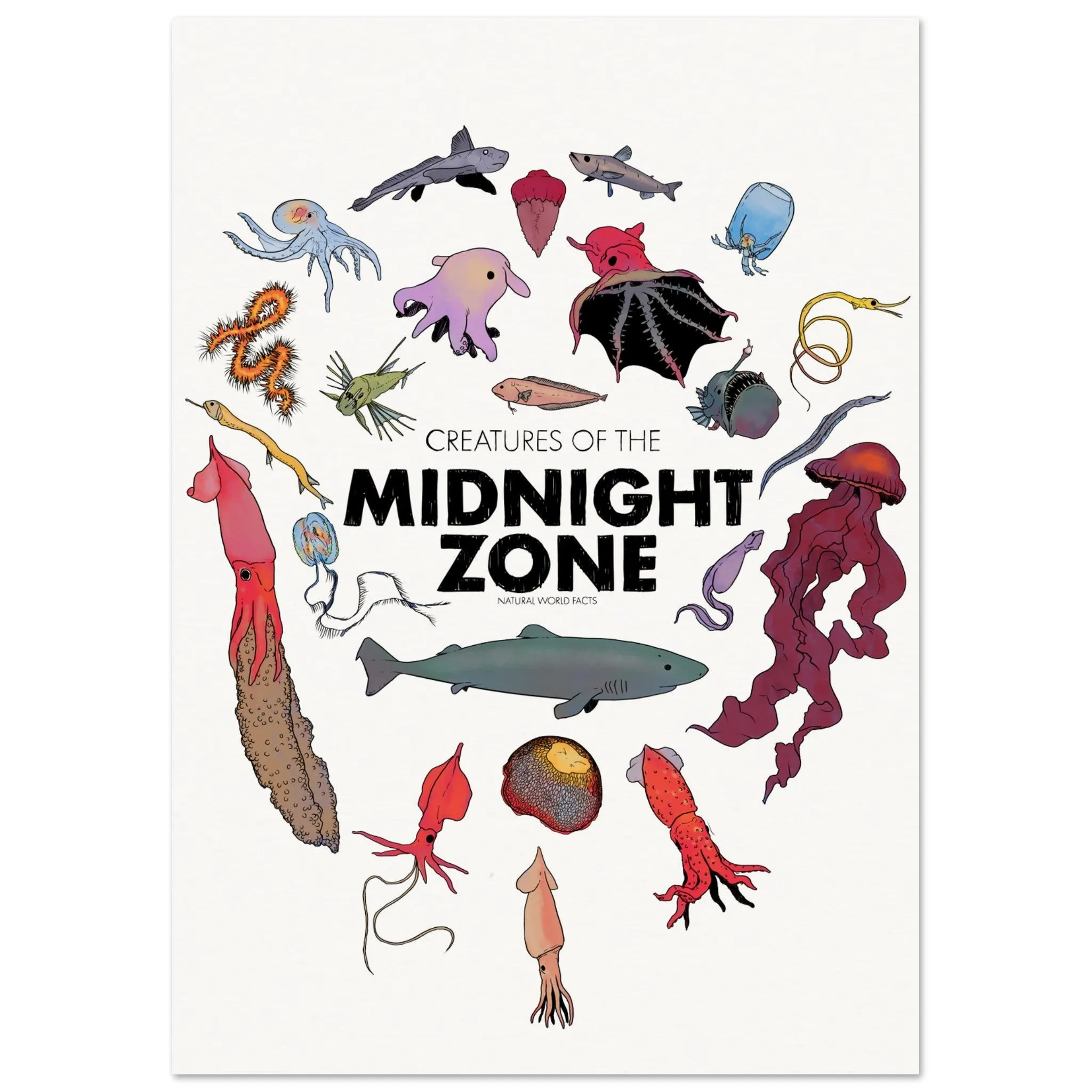Midnight Zone Creatures Museum Poster